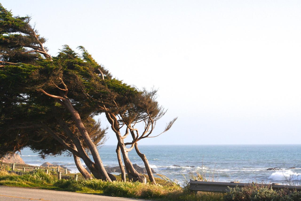 Captain'S Cove Inn Cambria Bagian luar foto